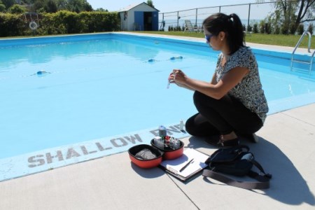 Public health inspector testing pool chemicals