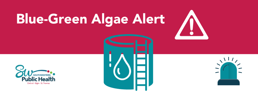 Algae Alert