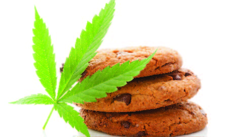 cannabis edible cookies