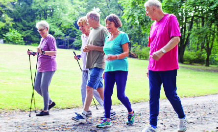 Seniors adults walking together as a group